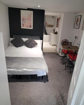 Hidden Treasure-Netflix and Wi-Fi-Basement flat